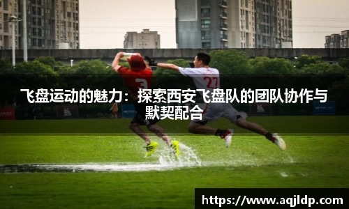 飞盘运动的魅力：探索西安飞盘队的团队协作与默契配合